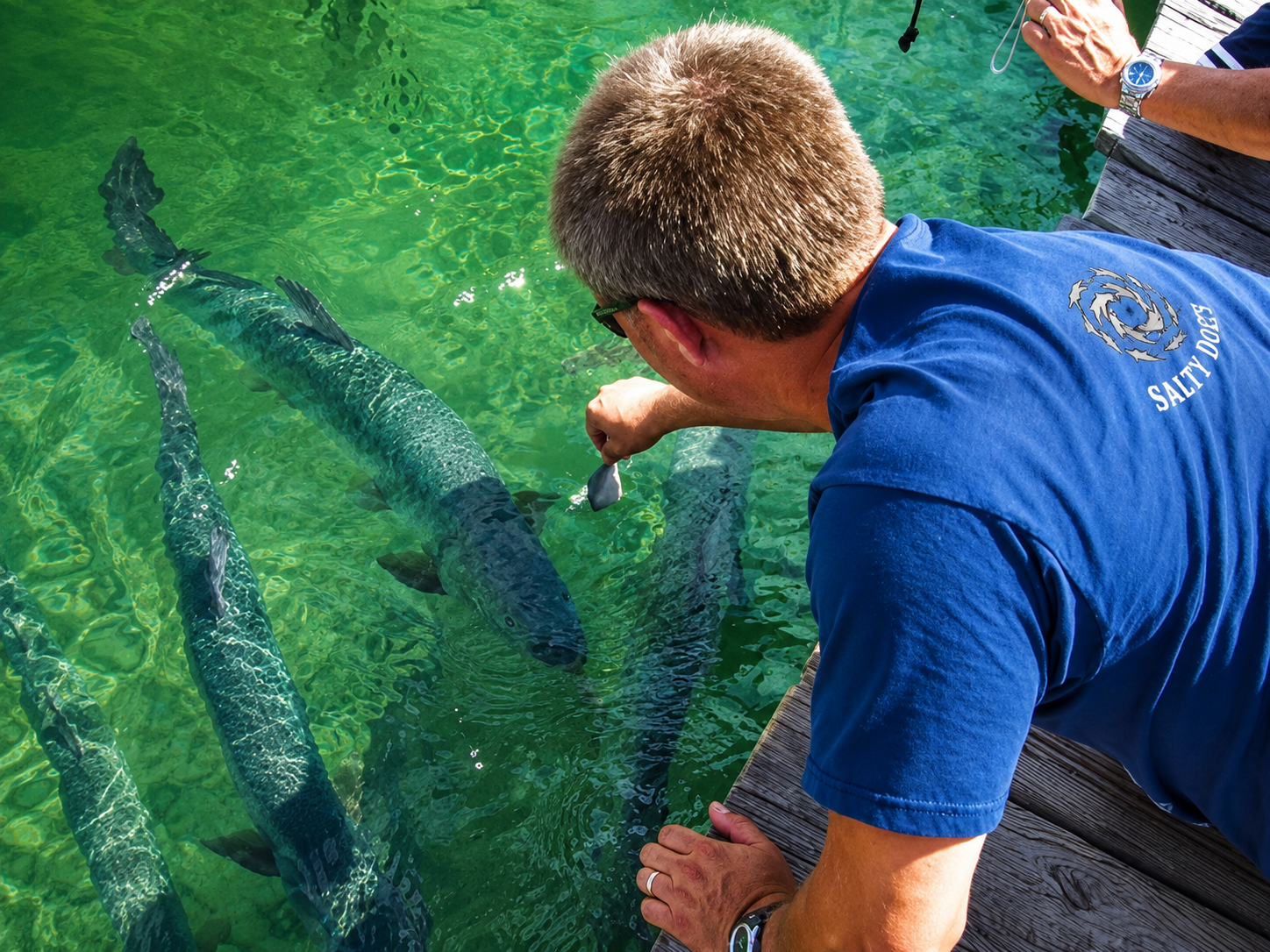 Daryl — Co-owner of Salty Dogs Tours