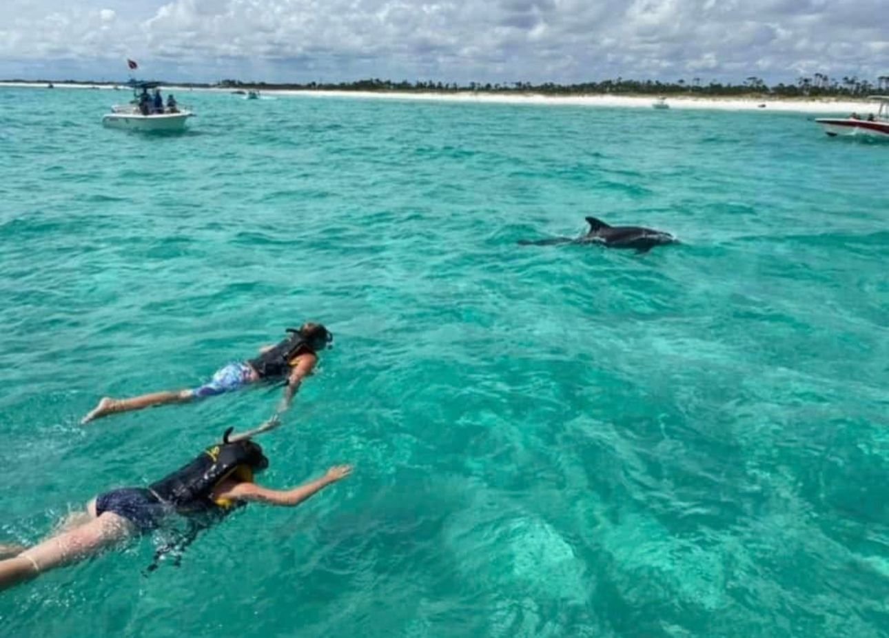 Guests snorkeling with dolphins at Shell Island