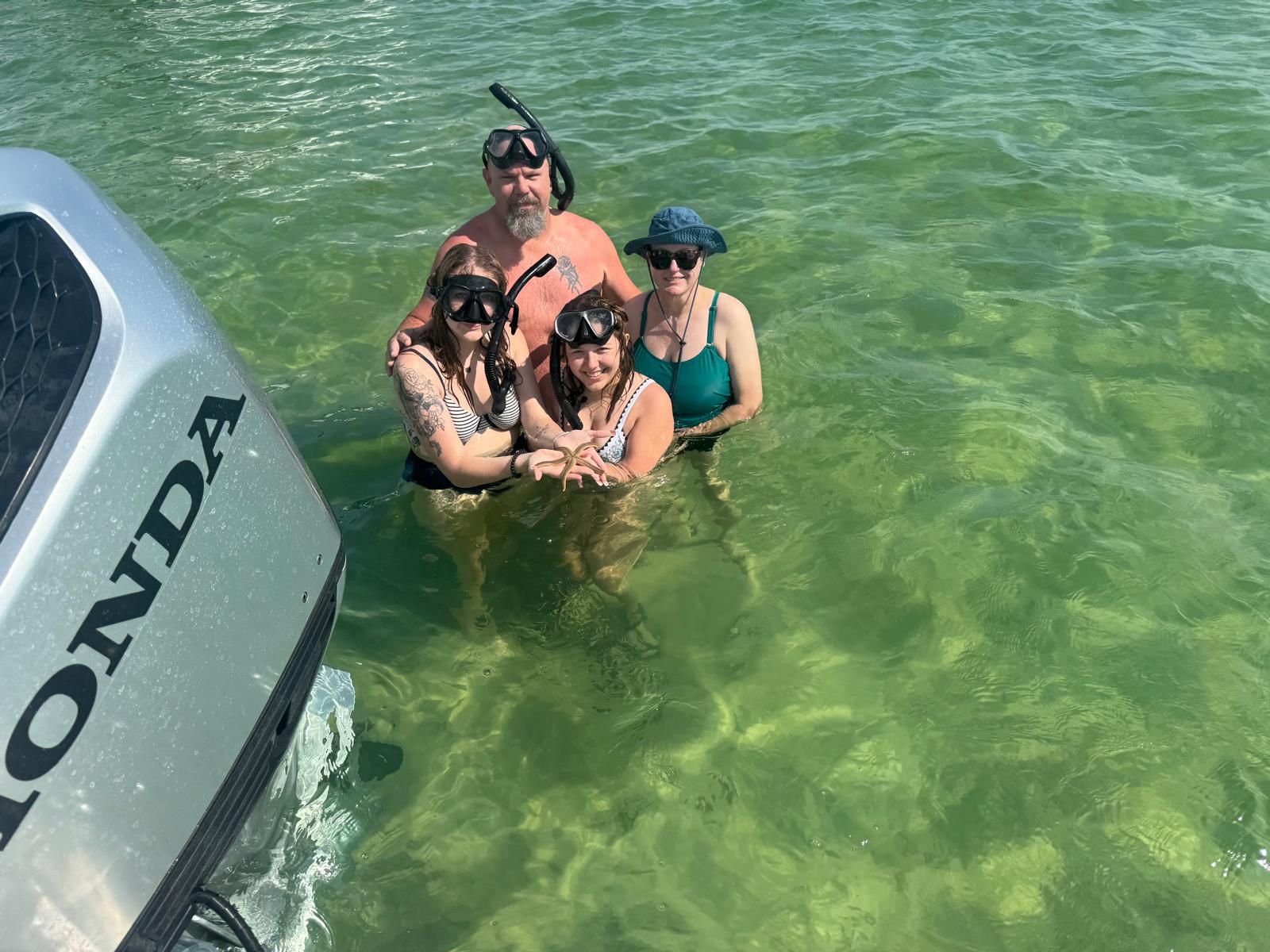 Shared dolphin snorkel tour
